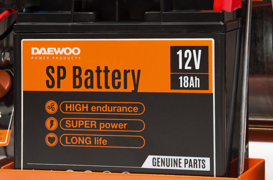 Топливная система Dual Fuel